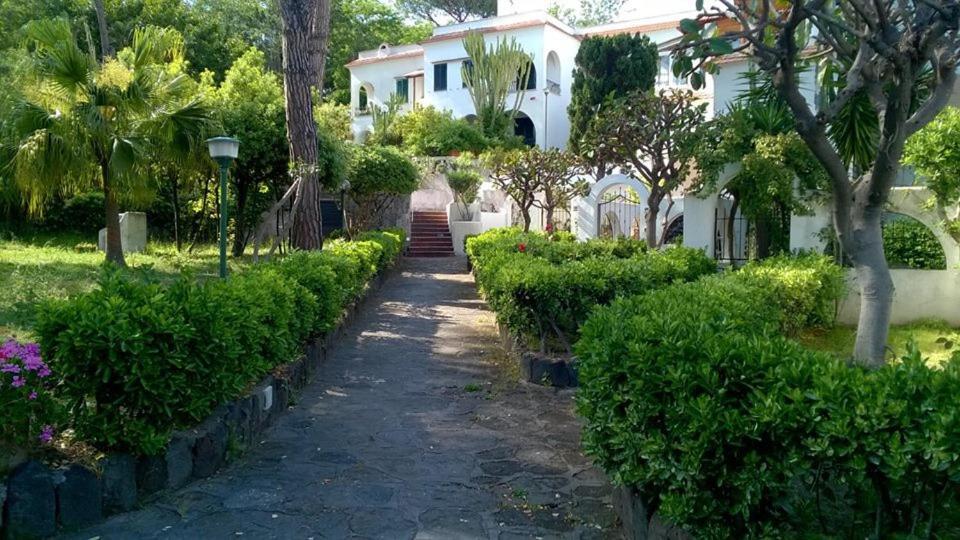 Villa Iscla Maison D'Hotes Ischia Exterior foto