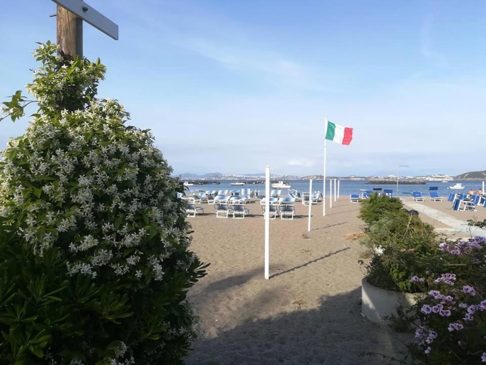 Villa Iscla Maison D'Hotes Ischia Exterior foto